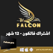 صورة اشتراك فالكون لمدة سنة - اشتراك IPTV تيرا تي في
